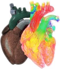 Biomedical