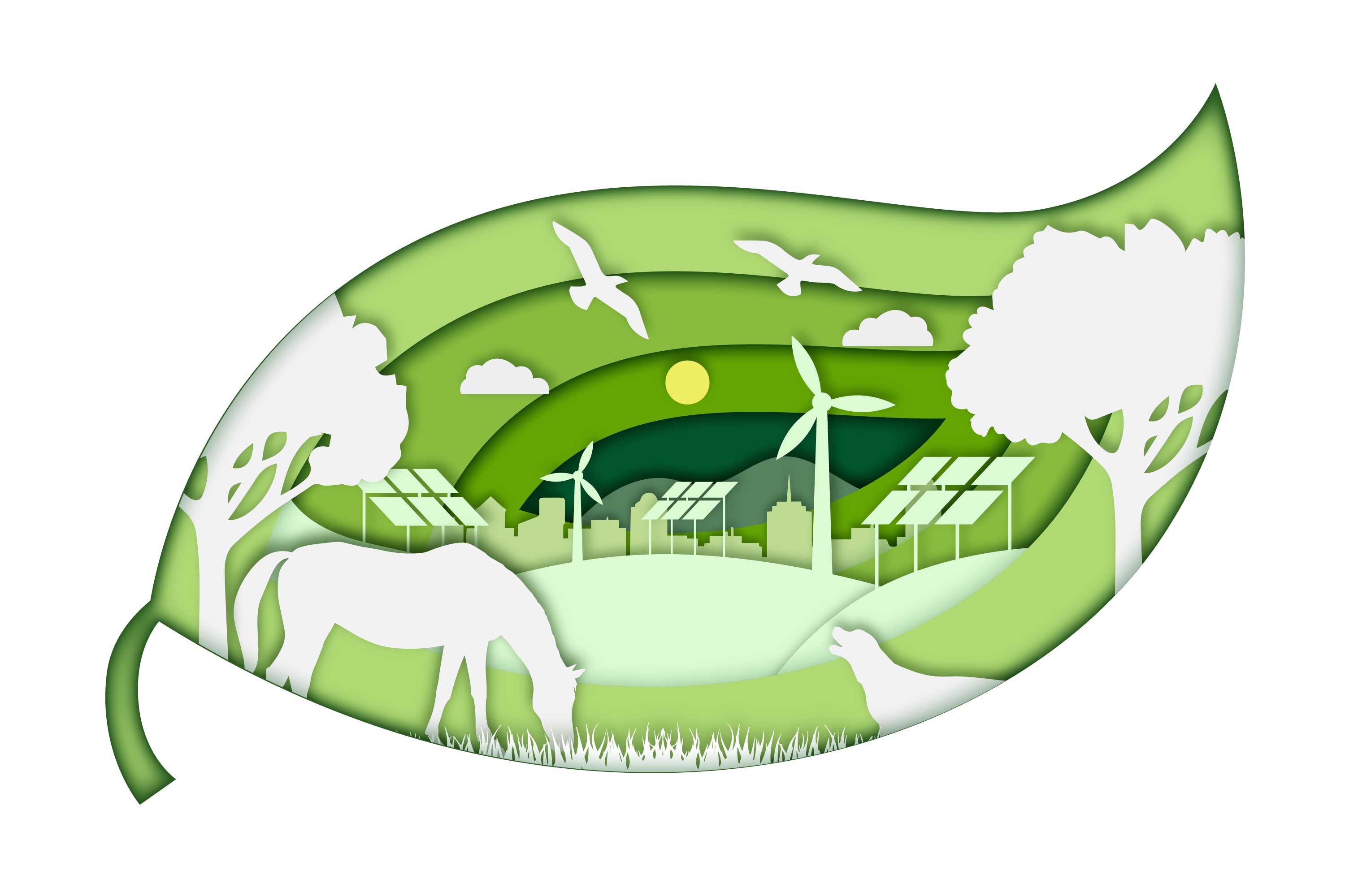 Sustainable & Efficient